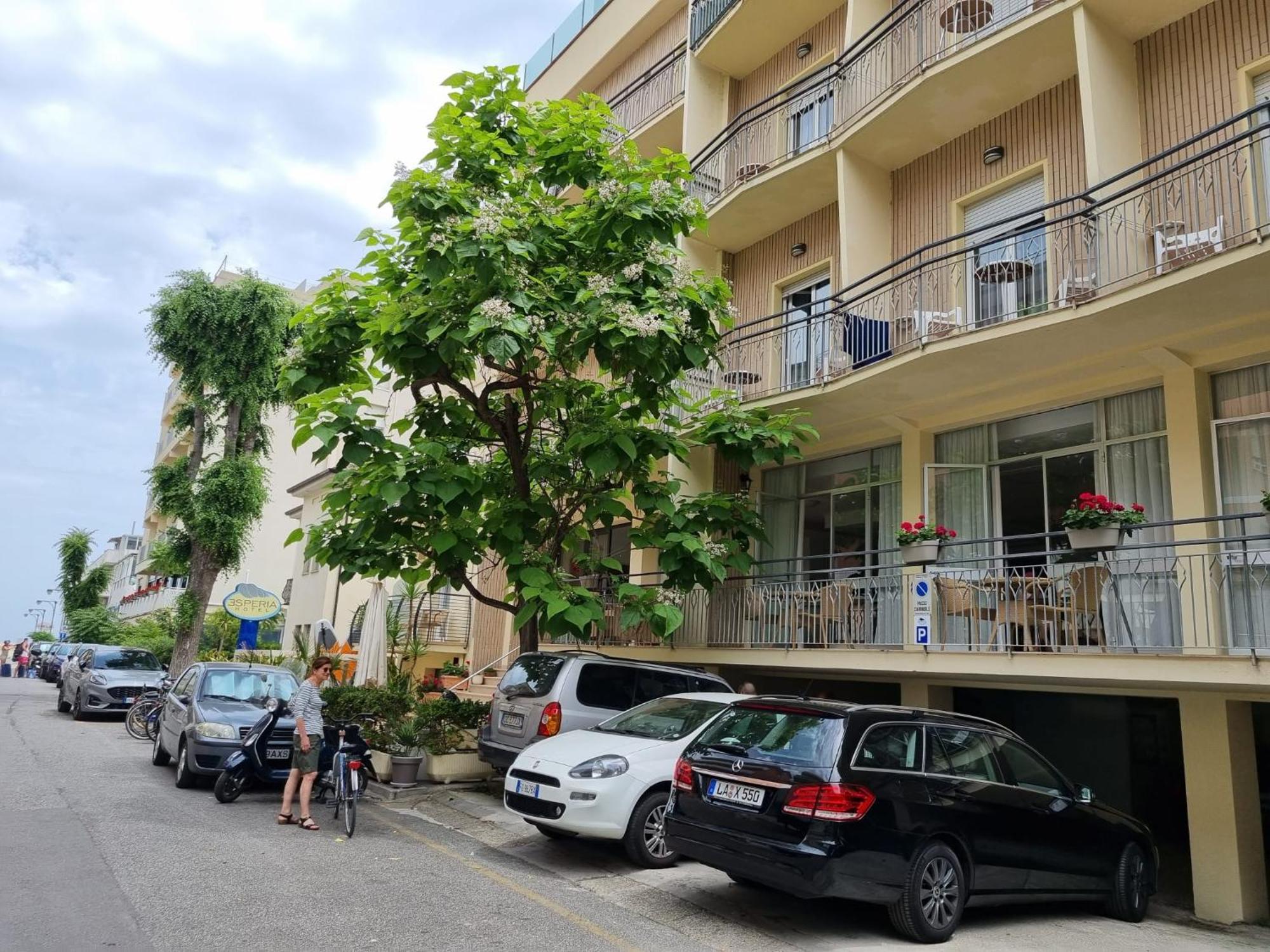 Hotel Esperia *
